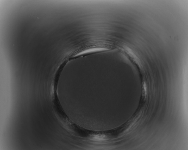 X0000094960500200712061314