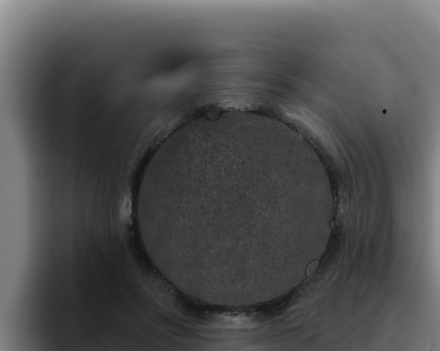 X0000094960502200712061314