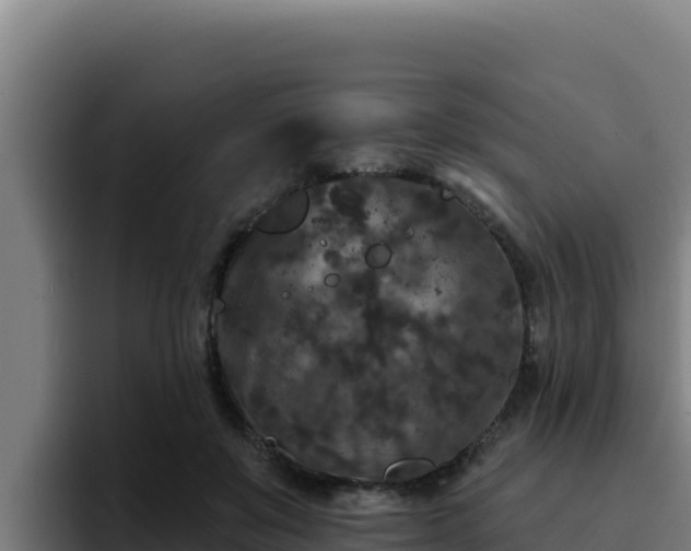 X0000094960503200712061314