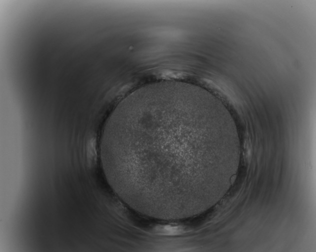 X0000094960506200712061314