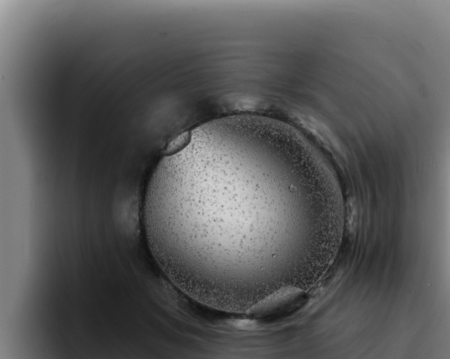 X0000094960509200712061314