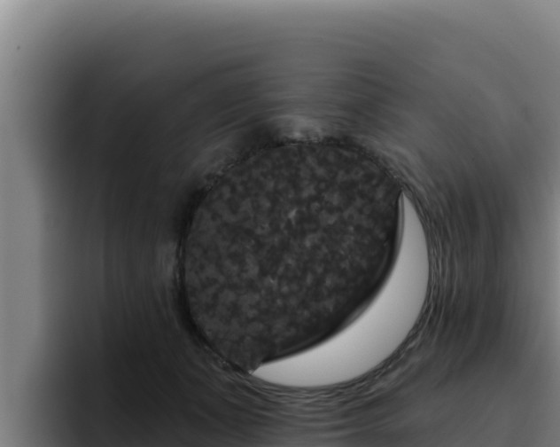 X0000094960511200712061314