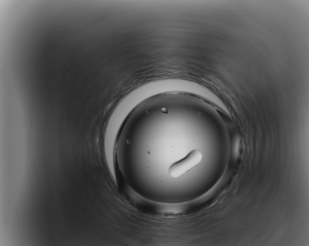 X0000094960520200712061314