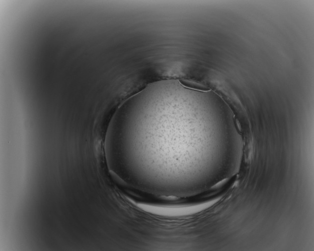 X0000094960521200712061314