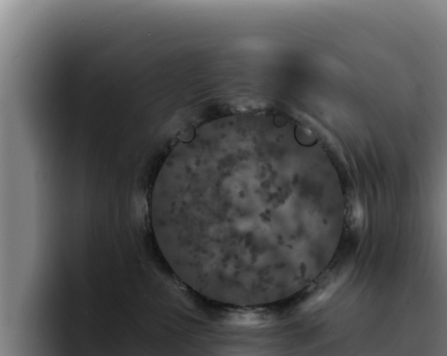 X0000094960523200712061314