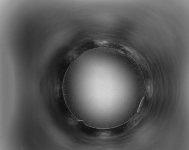 X0000094960525200712061314