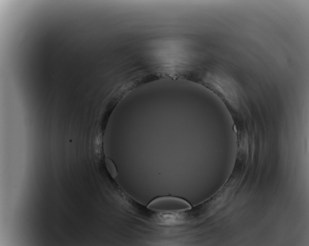 X0000094960526200712061314