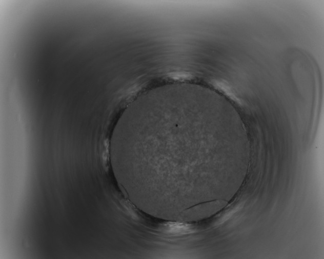 X0000094960528200712061314