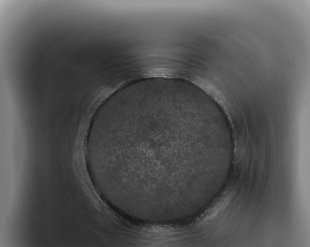 X0000094960529200712061313