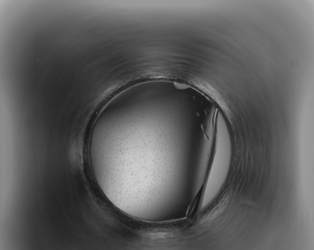 X0000094960530200712061313