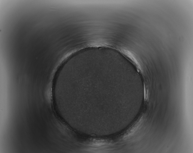 X0000094960531200712061313