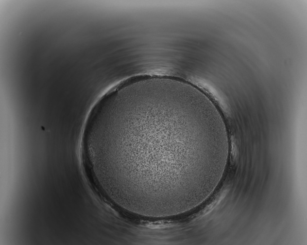 X0000094960532200712061313