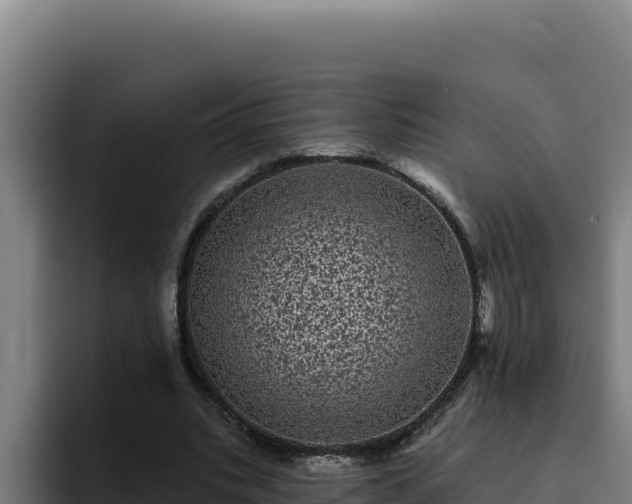 X0000094960535200712061313