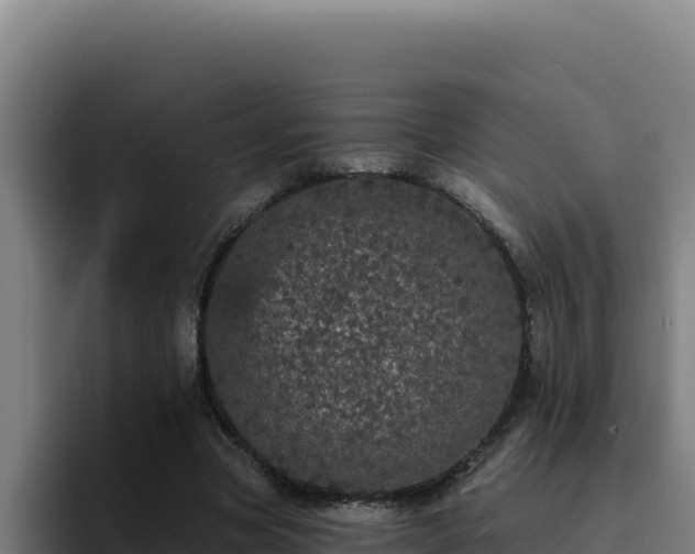 X0000094960537200712061313