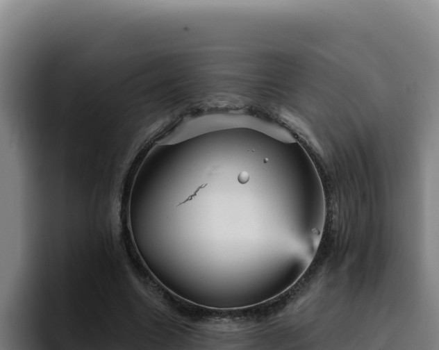 X0000094960538200712061313