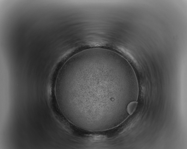 X0000094960539200712061313