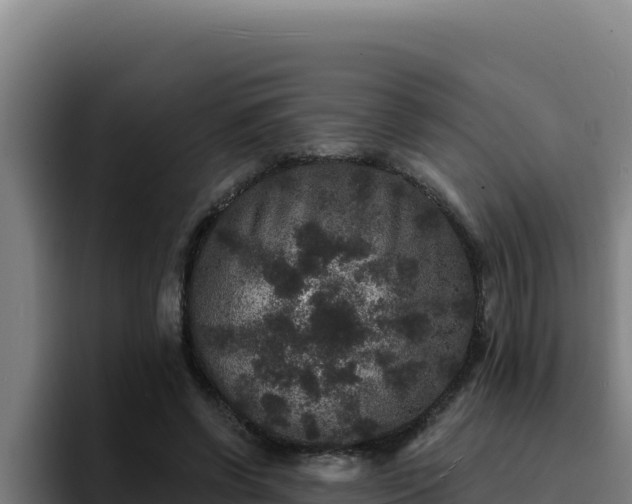 X0000094960542200712061313