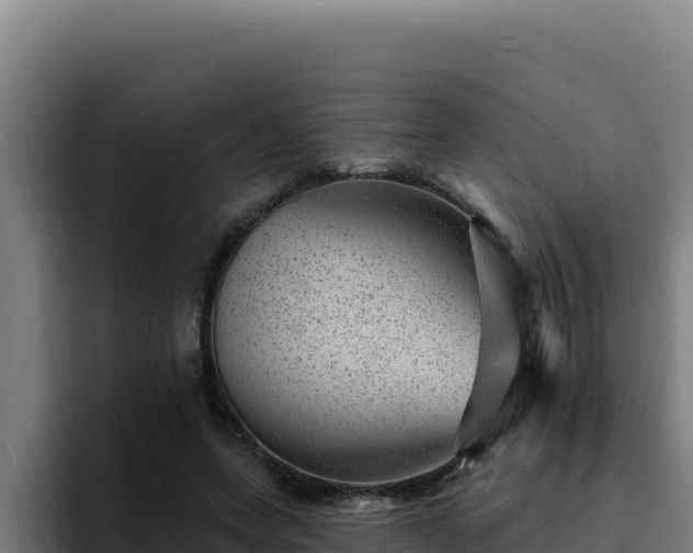 X0000094960543200712061313