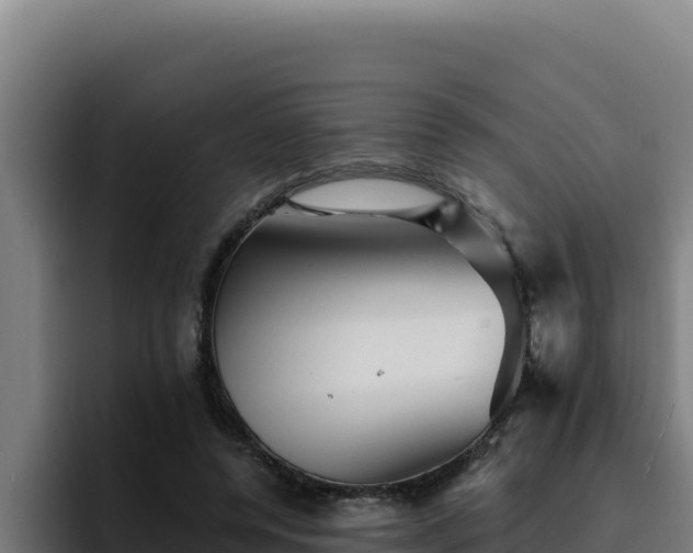 X0000094960544200712061313