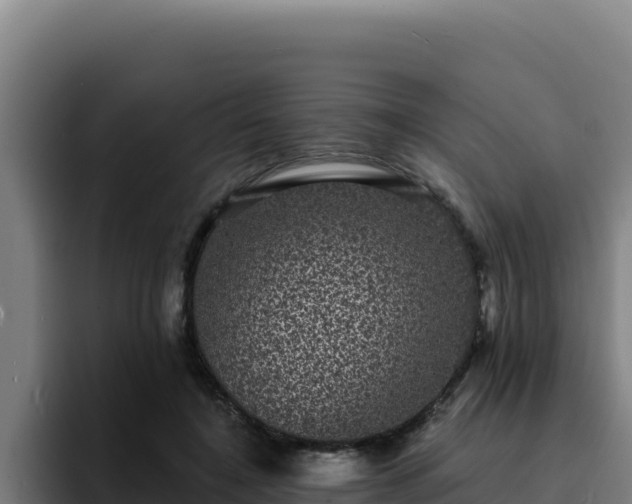 X0000094960548200712061313