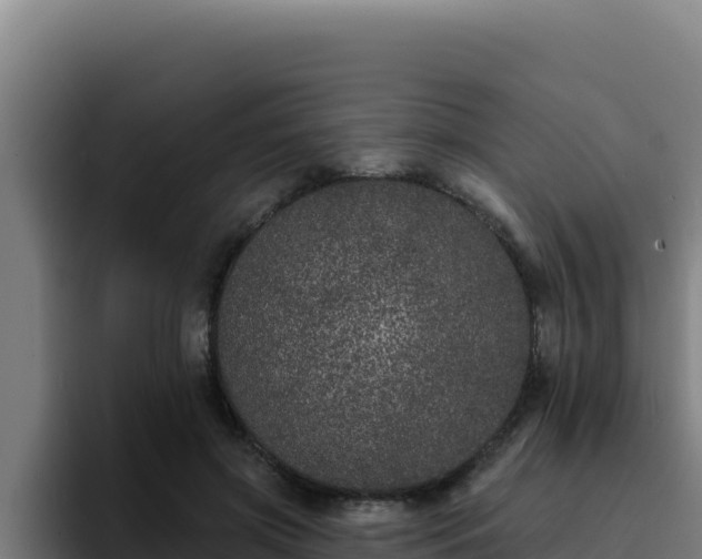 X0000094960549200712061314