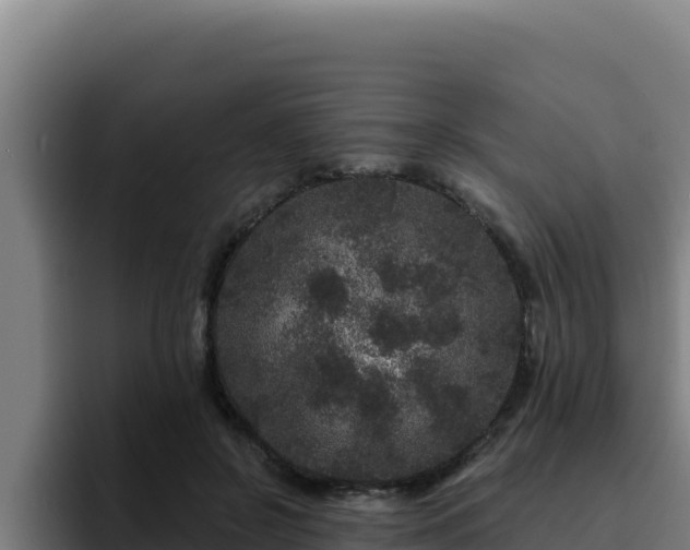 X0000094960550200712061314