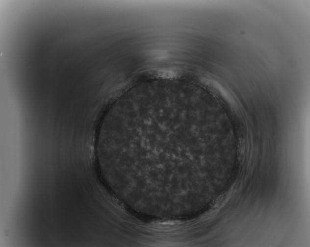 X0000094960553200712061314