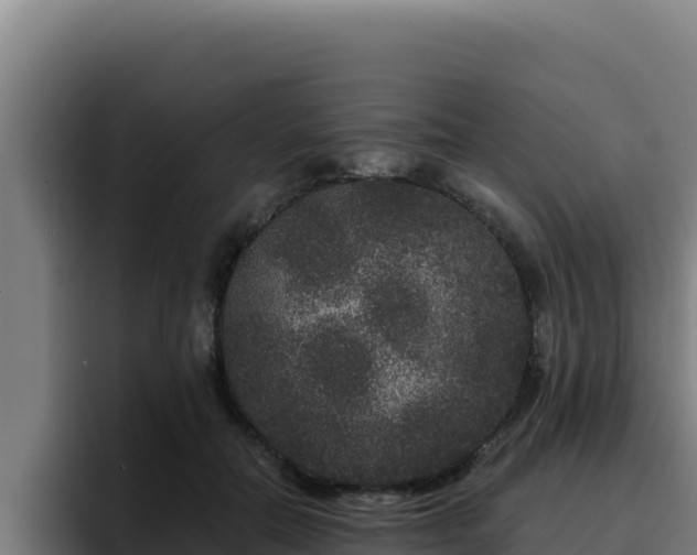 X0000094960554200712061314