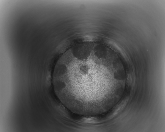 X0000094960557200712061314