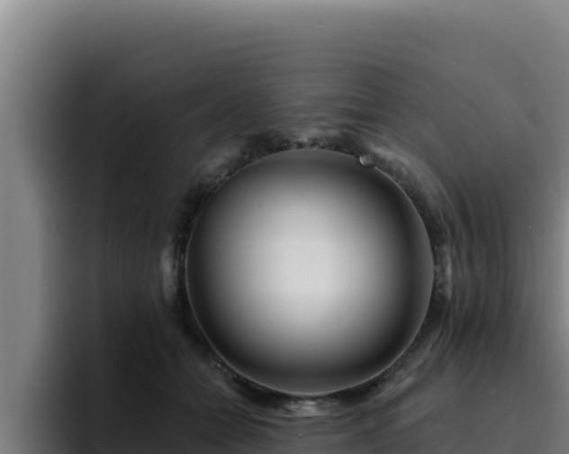 X0000094960558200712061314