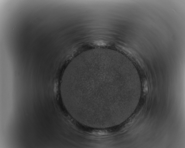 X0000094960559200712061314