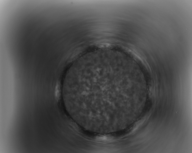 X0000094960561200712061314