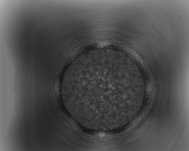 X0000094960565200712061314