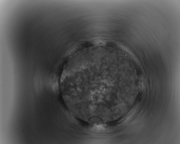 X0000094960573200712061314