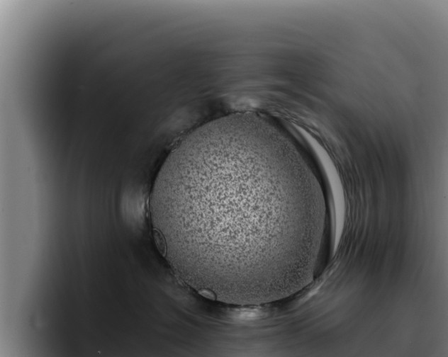 X0000094960574200712061314