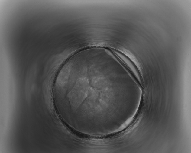 X0000094960577200712061313