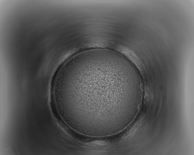 X0000094960578200712061313