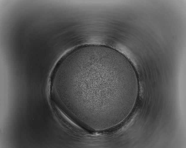 X0000094960580200712061313