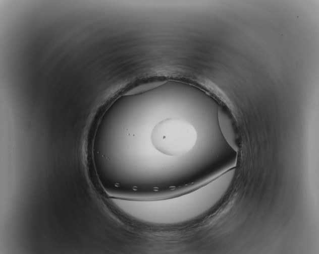 X0000094960581200712061313