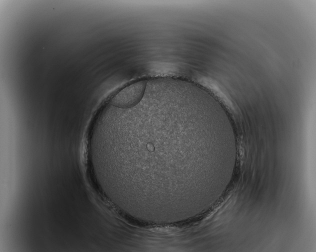 X0000094960583200712061313