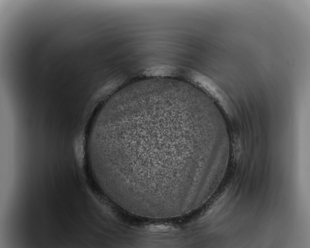 X0000094960586200712061313