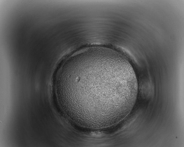 X0000094960591200712061313