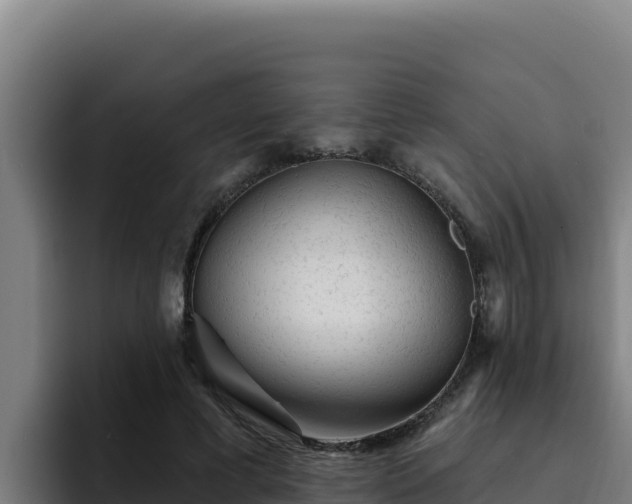 X0000094960593200712061313