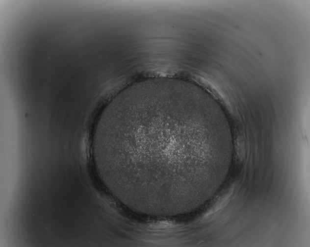 X0000094960594200712061313