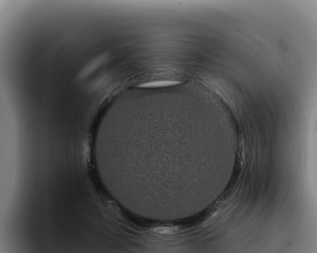 X0000094960595200712061313