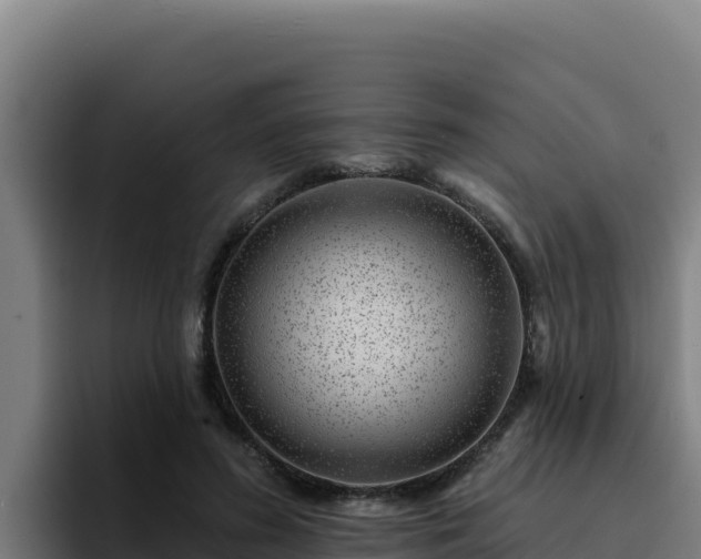 X0000094960596200712061313