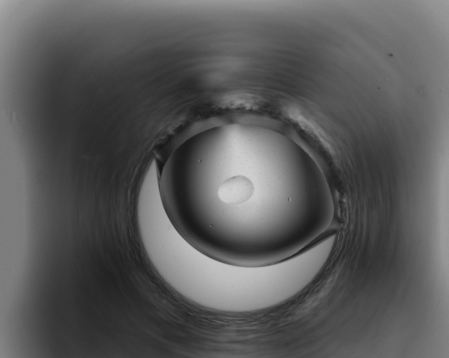 X0000094960597200712061313