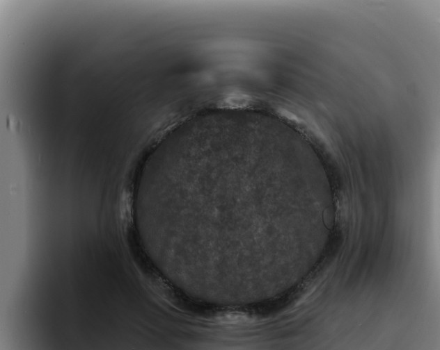 X0000094960598200712061313