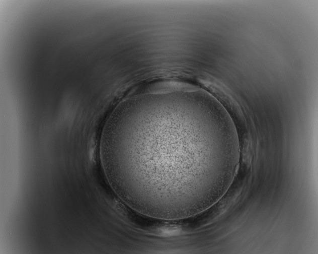 X0000094960604200712061313