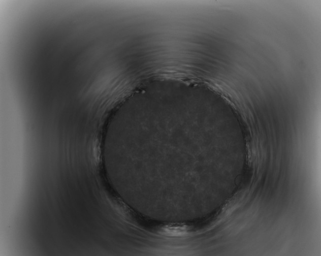 X0000094960606200712061313